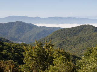 Obraz premium Morning mist fills a valley towards the Great Smokey Mountains seen from the Blue Ridge Parkway near Asheville, North Carolina