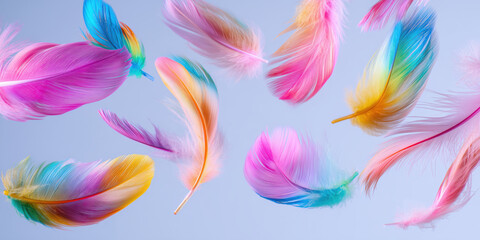 Colorful feathers falling on light blue background