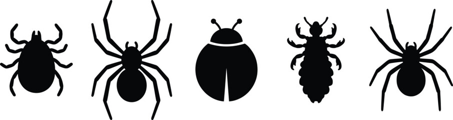 Insect and arachnid silhouette set, tick, spider, ladybug, louse, black outline, isolated, entomology vector graphic © S.P