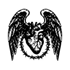 Barbed Wire Heart, Angelic Freedom