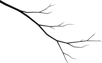 A minimalist silhouette of a bare tree branch against a white background