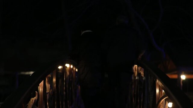 Atmospheric view of a rustic wooden footbridge with branch railings illuminated by string lights at night. The warm glow creates a romantic and magical path through darkness.

