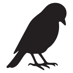 Black crow vector illustration on white background