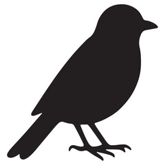 Black crow vector illustration on white background