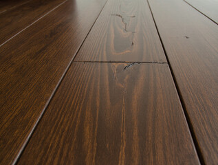 A close-up shot of a wide-plank wooden floor with a dark walnut stain. The smooth surface catches the light, emphasizing the deep, rich color and subtle grain patterns. A small crack in one plank adds
