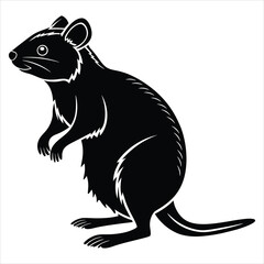 Quokka Silhouette Black Vector Illustration.