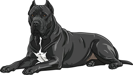 Perro de Presa Canario dog lying down resting side view illustration