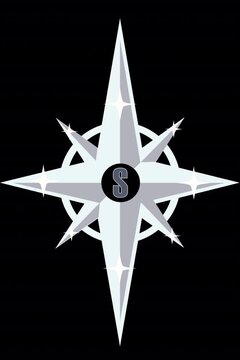 black and white compass on the 
transparency