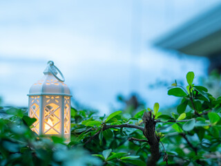 Decorative white lantern (Fanoos) glowing on nature background for Ramadan and Eid Greeting.