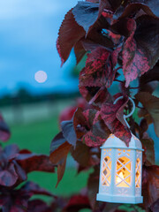 Decorative white lantern (Fanoos) glowing on nature background for Ramadan and Eid Greeting.