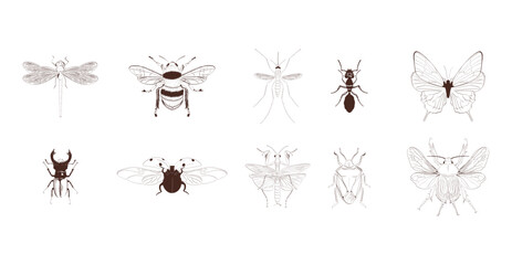 Minimalist Vintage hand drawn sketch insects vector illustration set. butterfly, beetle, ladybug, dragonfly, bee