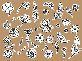 Set of flower and leaves silhouettes. Hand drawn floral design elements, icons, shapes. Wild and garden flowers, leaves black and white outline illustrations isolated on white background