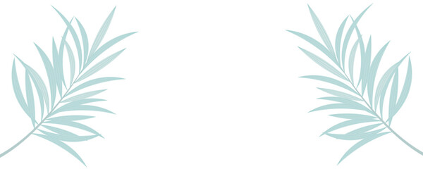 background with green leaves. White background with shadow of palm leaves, gray silhouettes of leaves, tropical concept.