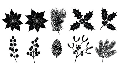 a collection of festive botanical silhouettes showcases various winter foliage including pine branches holly and poinsettia displays high quality professional detailed © Thysl2000