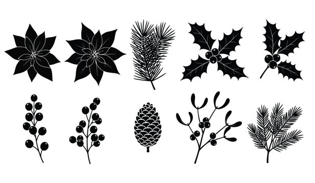 a collection of festive botanical silhouettes showcases various winter foliage including pine branches holly and poinsettia displays high quality professional detailed