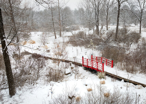 Aerial view of a vibrant red Asian-style bridge and boardwalk in a snowy landscape, contrasting with bare trees and white ground. Acton, Massachusetts, USA.