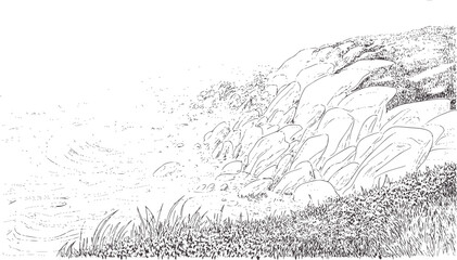 Detailed black and line of rocky shoreline with water and grass