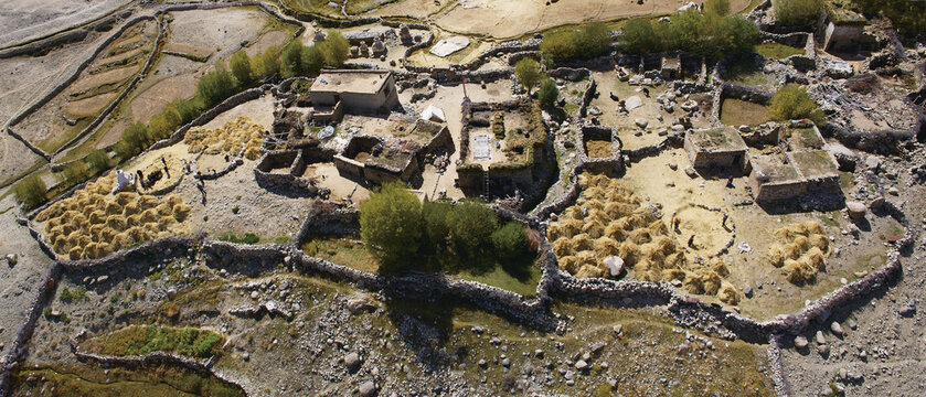 Aerial view of golden haystacks contrasting against the muted tones of stone houses and walls in the rugged landscape, Khardung, Ladakh, India.
