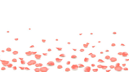 Flower of love, orange rose petals banner seamless horizontal. Rose petals on floor background