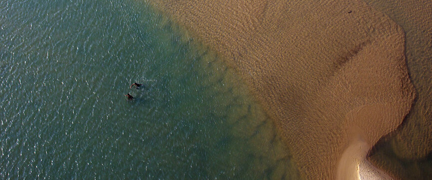 Aerial view of the meeting of tranquil turquoise waters and textured, sun-kissed sands, with two figures wading, Ariyankuppam, Puducherry, India.