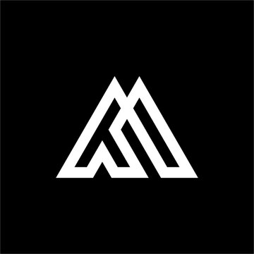 Intertwined lines form the letters MT or TM in the shape of a continuous mountain/peak. It expresses peak achievement, clarity, and precision.