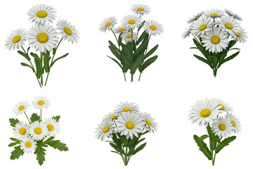 Daisy Flowers With Butterfly Transparent Background  
