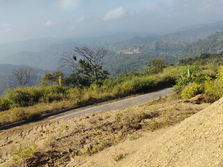 Winding Asphalt Road Through Lush Green Mountain Hills and Forest