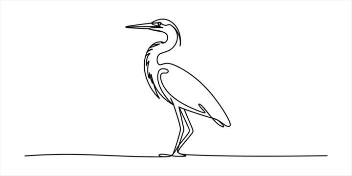 Continuous line art drawing of a heron standing on a minimal ground line Vector, illustration