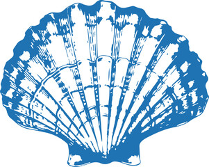 Scallop Sea Shell Vector Illustration – Hand Drawn Engraving Style. Download it now in high resolution format 