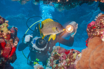 Scuba diver photographing tropical fish near a coral reef using underwater camera and strobe light. Concept of underwater photography, marine life exploration, adventure, travel and ocean conservation
