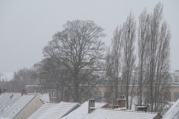 Desolate winter panorama of Jette rooftops