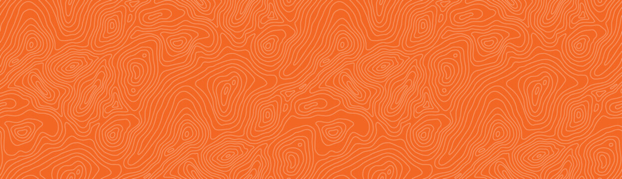 Tuna pattern bg with seamless salmon meat and texture line sushi. Fish healthy package with gourmet tuna illustration and skin outline steak. Fresh beef tuna with japanese structure seamless.