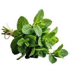 Fresh mint leaves isolated on white background