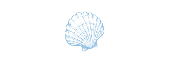 Scallop Sea Shell Vector Illustration – Hand Drawn Engraving Style. Download it now in high resolution format 