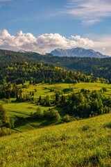 Fototapeta premium Rolling green hills and forested landscape of the Zamagurie region with the peaks of the Belianske Tatry mountains in the background. Scenic Slovak countryside ideal for travel, nature, and outdoor co