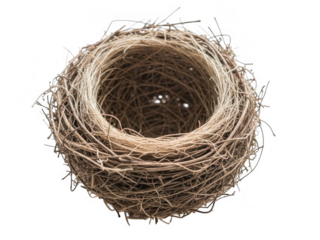 Bird nest isolated on transparent background for wildlife or nature themes