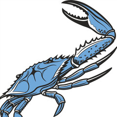 This high-quality, realistic blue crab vector illustration captures the vibrant colors and intricate details of the iconic Callinectes sapidus. Featuring the signature bright blue claws and mottled.