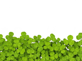 A vibrant green clover leaf border isolated on transparent background for st patricks day decoration