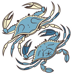 This high-quality, realistic blue crab vector illustration captures the vibrant colors and intricate details of the iconic Callinectes sapidus. Featuring the signature bright blue claws and mottled.