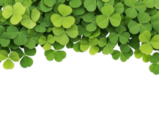 Green clover leaves on transparent background for st patricks day isolated on transparent background