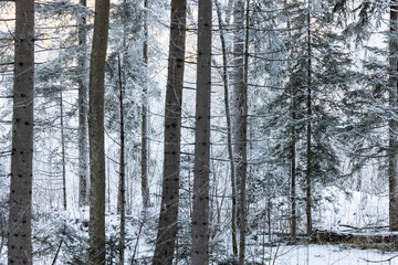 Eislandschaft in Graub&uuml;nden Schweiz