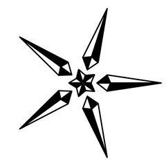 Fototapeta premium compass rose flower