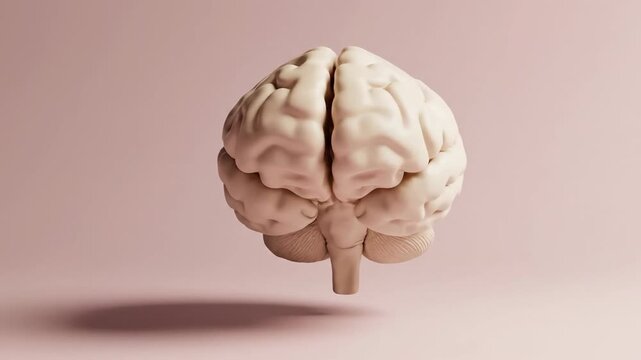 Three dimensional human brain rendered against a soft pink background