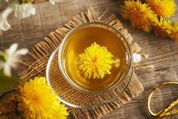 Dandelion flower collected in springtime in a cup of herbal tea © Madeleine Steinbach