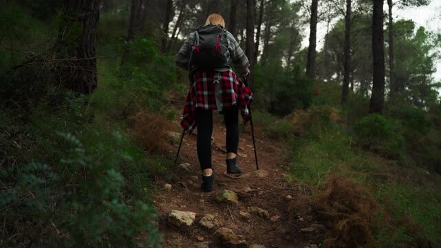 View from behind  woman trekking up steep trail in stunning pine forest, using hiking poles. Embarking on an exciting outdoor excursion in nature. Outdoor adventure concept