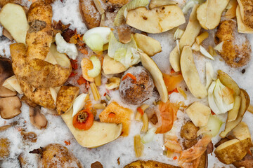 Outdoor compost material resting on snow, showing organic waste against a winter background.