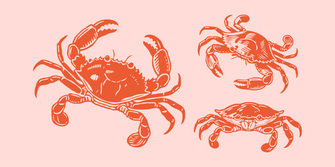 Three red crabs drawn in a hand-drawn sketch style on a pale pink background, representing marine wildlife and coastal nature concepts