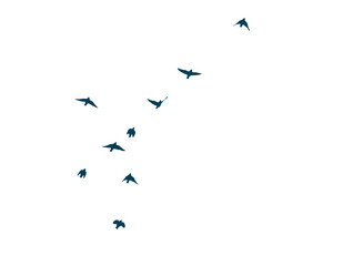 Flying birds silhouette flock. hand drawing. Not AI. Vector illustration