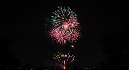 A nighttime display of colorful fireworks exploding in the sky