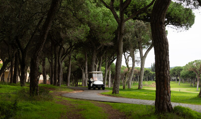 Obraz premium Beautiful View of Green Golf Field with Blue Sky.